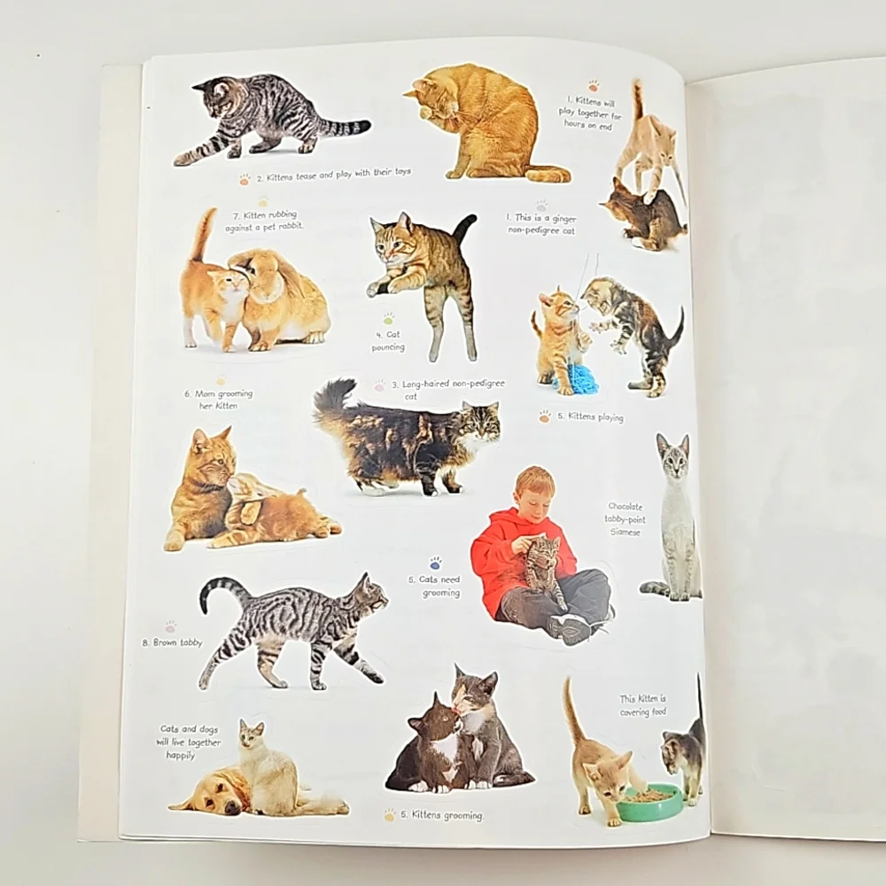 Cats & Kittens Sticker Activity Book